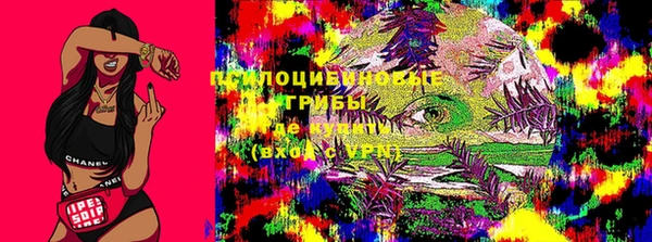 МДМА Приозерск