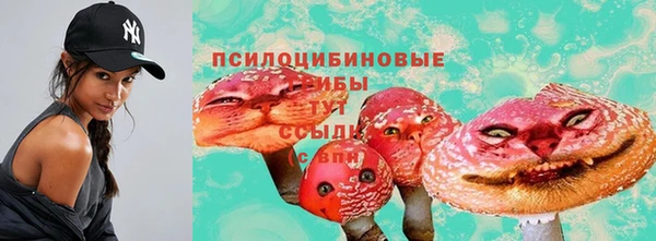 дурь Армянск