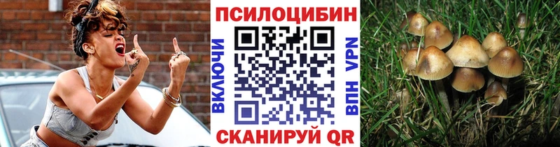 Псилоцибиновые грибы MAGIC MUSHROOMS  наркошоп  Ханты-Мансийск 